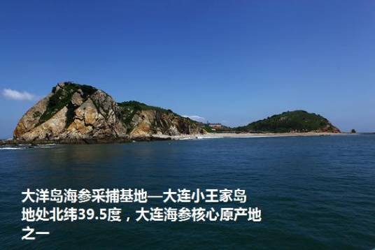 大洋岛（中国浙江省岛屿）