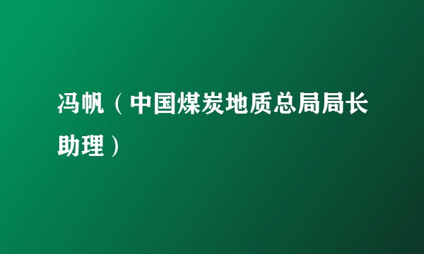 冯帆（中国煤炭地质总局局长助理）