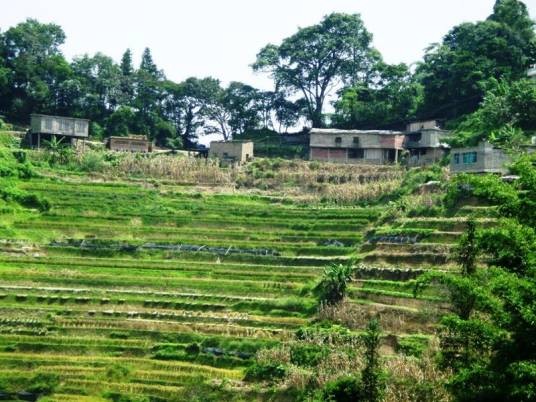 窝迷村