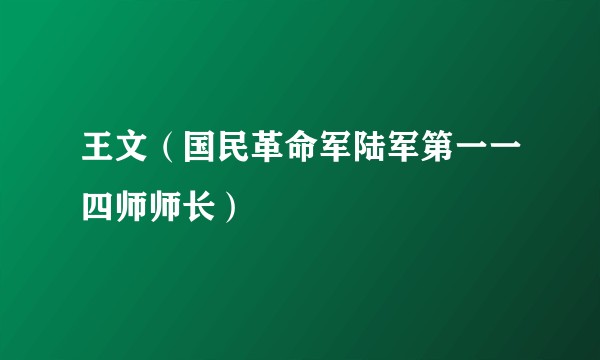 王文（国民革命军陆军第一一四师师长）