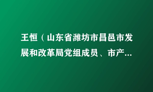 王恒（山东省潍坊市昌邑市发展和改革局党组成员、市产业发展促进中心主任）
