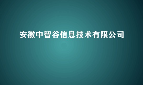 安徽中智谷信息技术有限公司