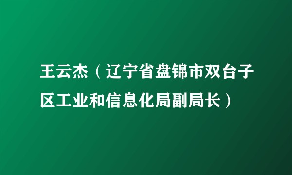 王云杰（辽宁省盘锦市双台子区工业和信息化局副局长）