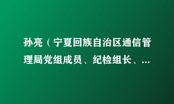孙亮（宁夏回族自治区通信管理局党组成员、纪检组长、副局长）