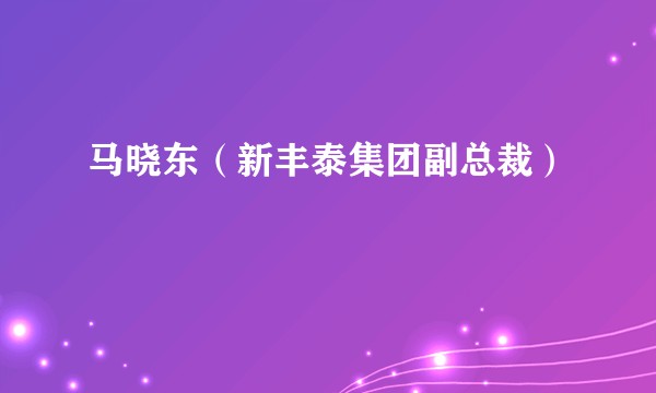 马晓东（新丰泰集团副总裁）