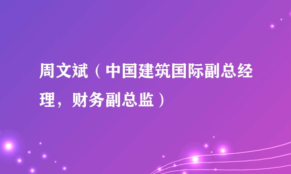 周文斌（中国建筑国际副总经理，财务副总监）