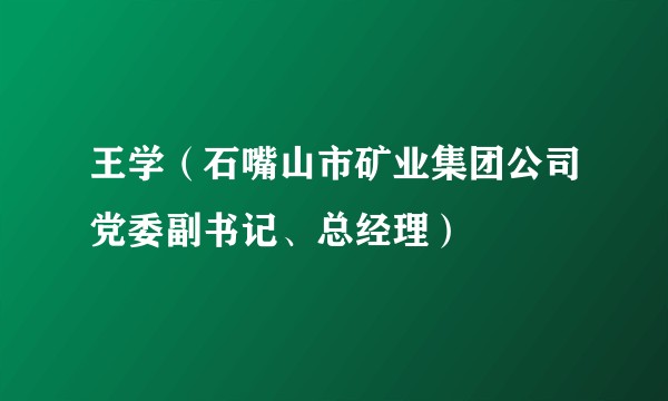 王学（石嘴山市矿业集团公司党委副书记、总经理）
