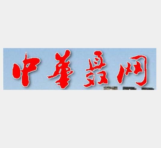 中华聂网