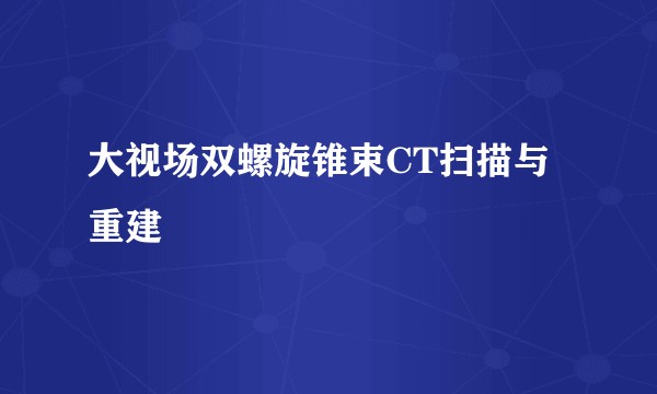 大视场双螺旋锥束CT扫描与重建