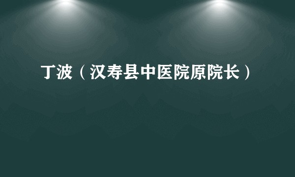 丁波（汉寿县中医院原院长）