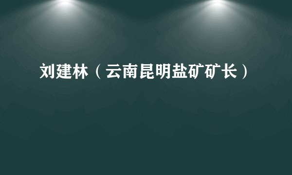 刘建林（云南昆明盐矿矿长）