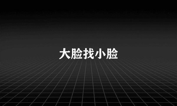 大脸找小脸