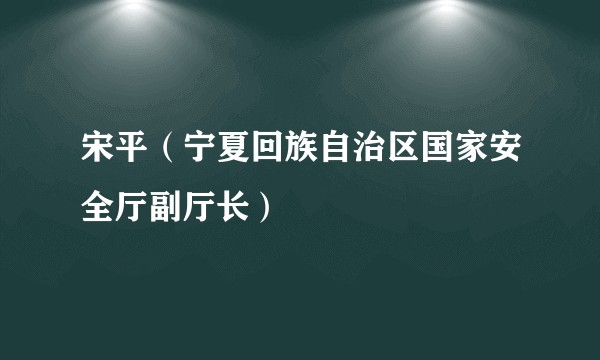 宋平（宁夏回族自治区国家安全厅副厅长）