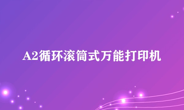 A2循环滚筒式万能打印机