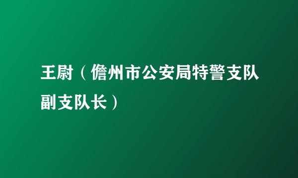 王尉（儋州市公安局特警支队副支队长）