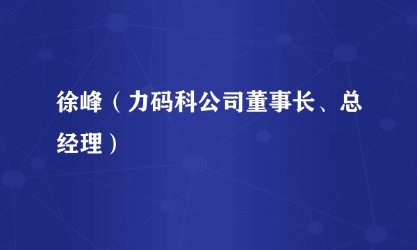徐峰（力码科公司董事长、总经理）
