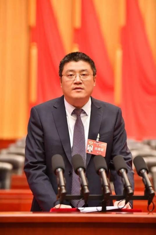 林丹（重庆市政协港澳台侨外事委员会副主任，台盟重庆市委会副主委）