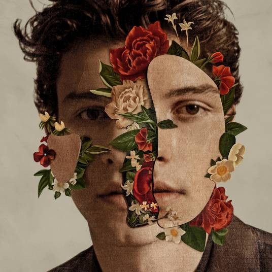 Shawn Mendes（2018年肖恩·蒙德兹发行的专辑）