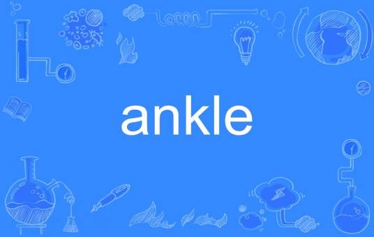 ankle