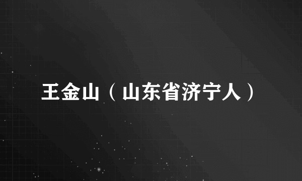 王金山（山东省济宁人）