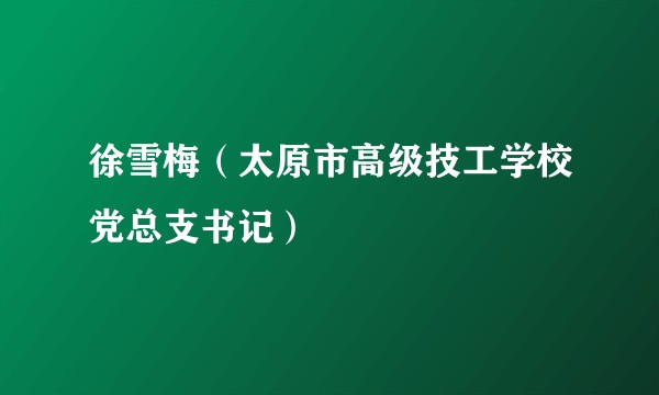 徐雪梅（太原市高级技工学校党总支书记）