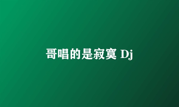 哥唱的是寂寞 Dj