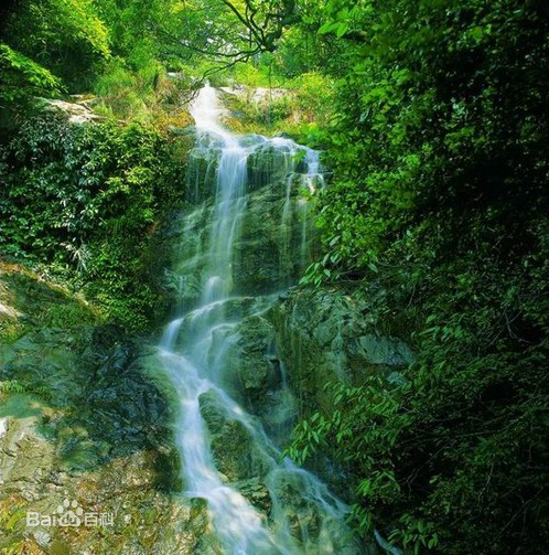 黄冈山(浙江衢州常山黄冈山)