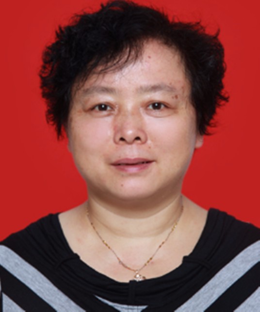 周斌（西南交通大学机械工程学院教授）