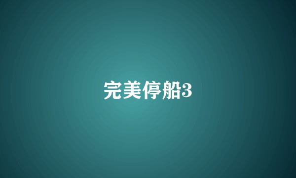 完美停船3