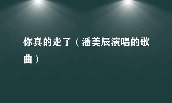你真的走了（潘美辰演唱的歌曲）