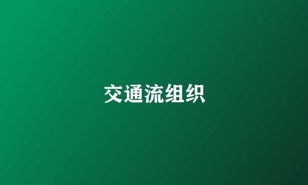 交通流组织