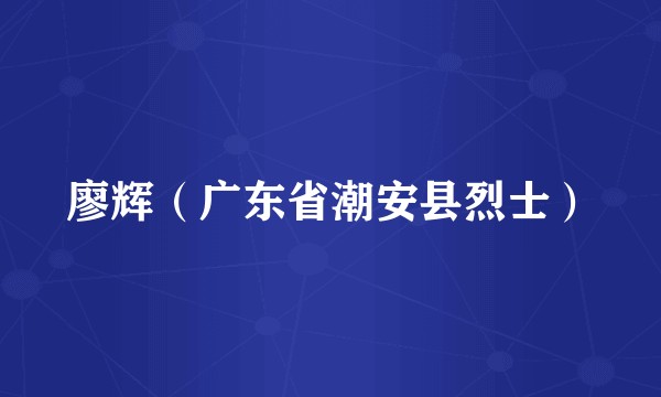 廖辉（广东省潮安县烈士）