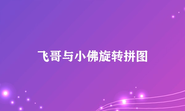 飞哥与小佛旋转拼图