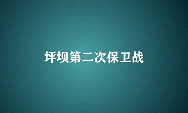 坪坝第二次保卫战