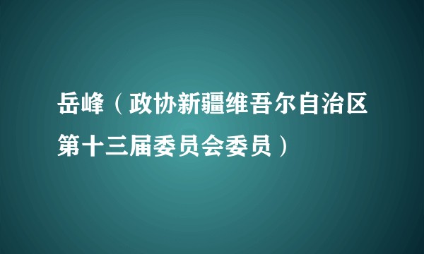 岳峰（政协新疆维吾尔自治区第十三届委员会委员）