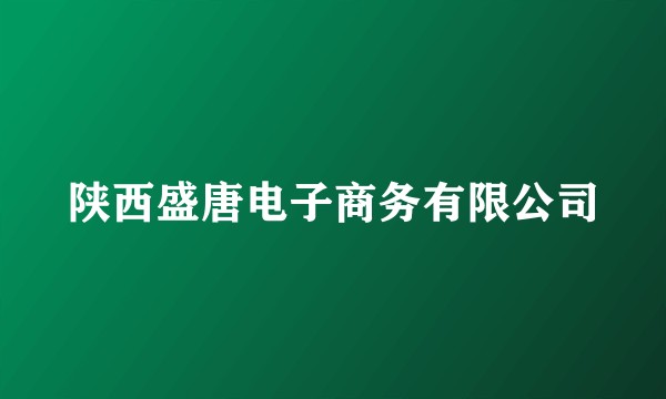 陕西盛唐电子商务有限公司