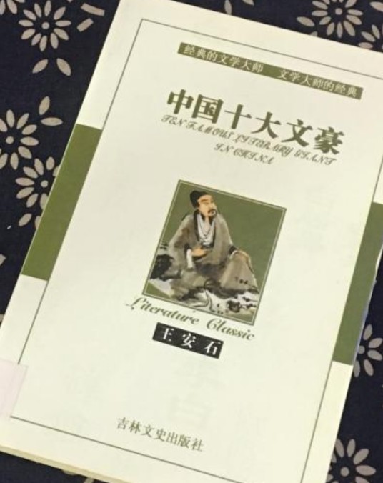 王安石(2004年吉林文史出版社出版的图书)