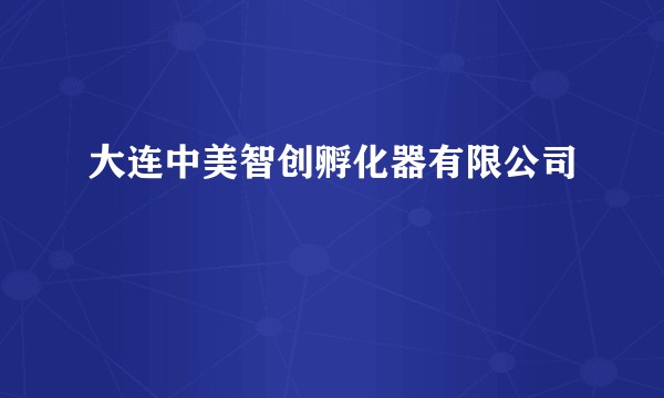 大连中美智创孵化器有限公司
