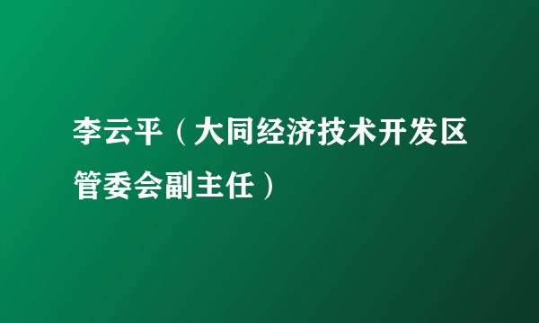 李云平（大同经济技术开发区管委会副主任）