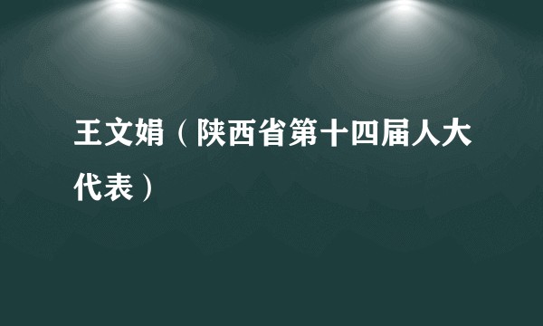 王文娟（陕西省第十四届人大代表）