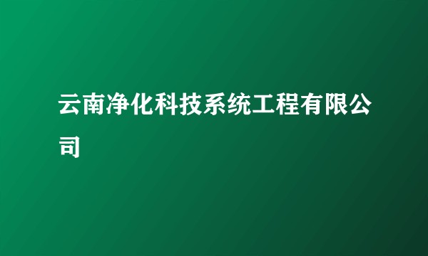 云南净化科技系统工程有限公司