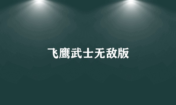飞鹰武士无敌版
