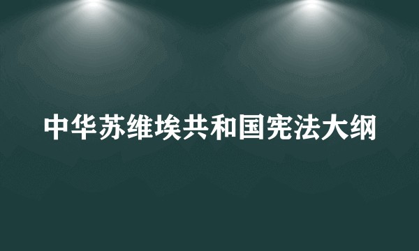 中华苏维埃共和国宪法大纲