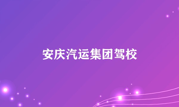 安庆汽运集团驾校