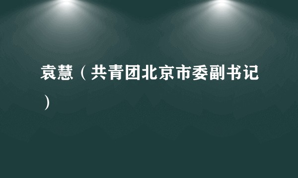 袁慧（共青团北京市委副书记）