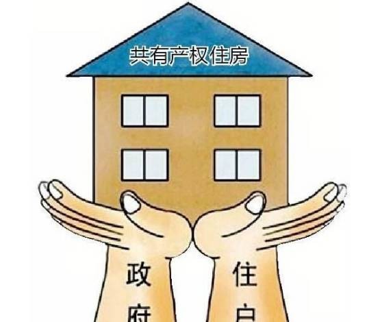 共有产权养老房