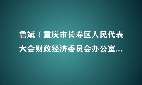 鲁斌（重庆市长寿区人民代表大会财政经济委员会办公室副主任）