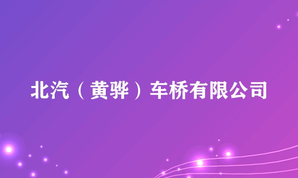 北汽（黄骅）车桥有限公司