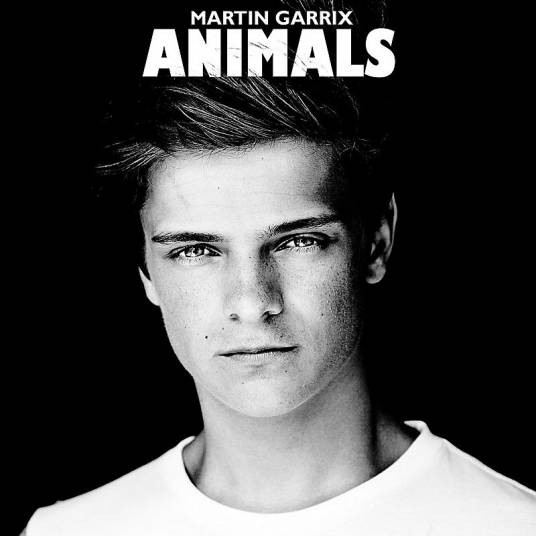 ANIMALS（Martin Garrix电音作品）