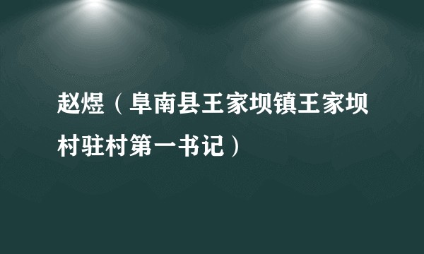 赵煜（阜南县王家坝镇王家坝村驻村第一书记）